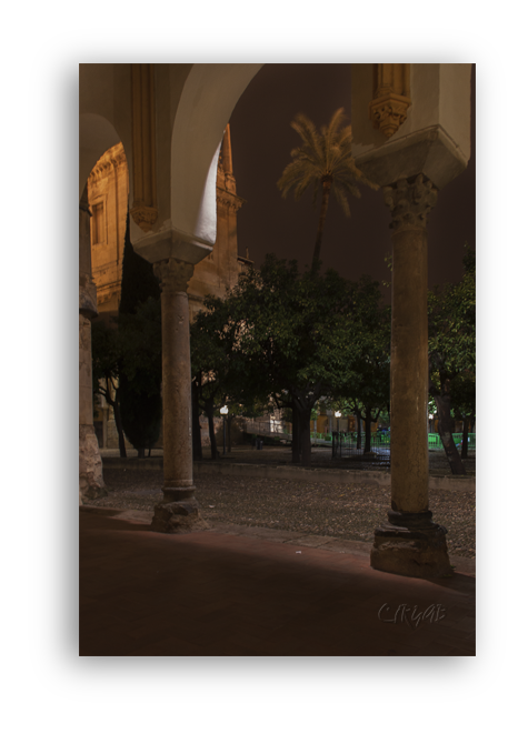 Mezquita de Córdoba -Patio-