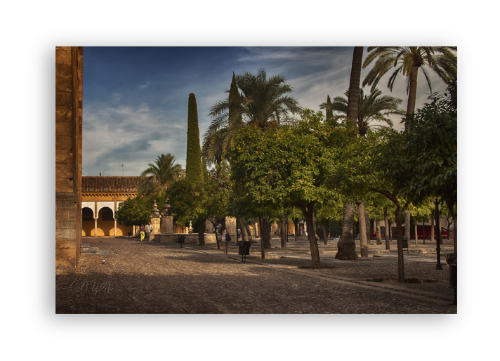 Mezquita de Córdoba -Patio-