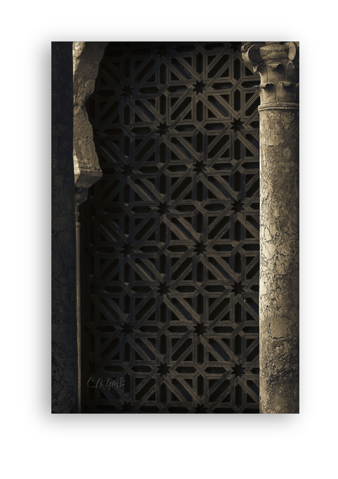 Mezquita de Córdoba -Patio-