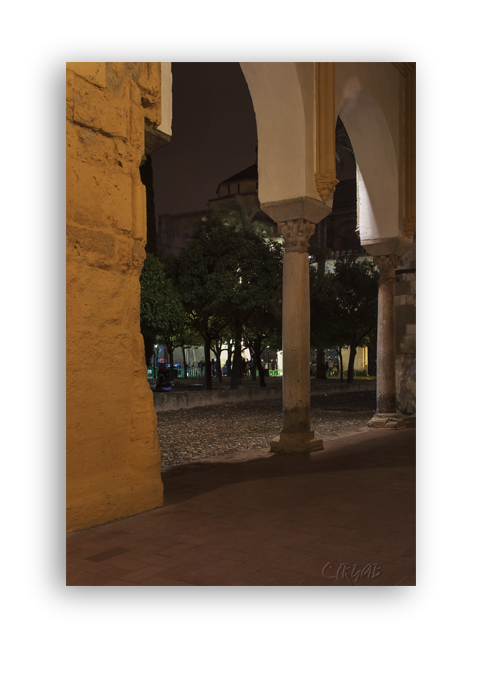 Mezquita de Córdoba -Patio-