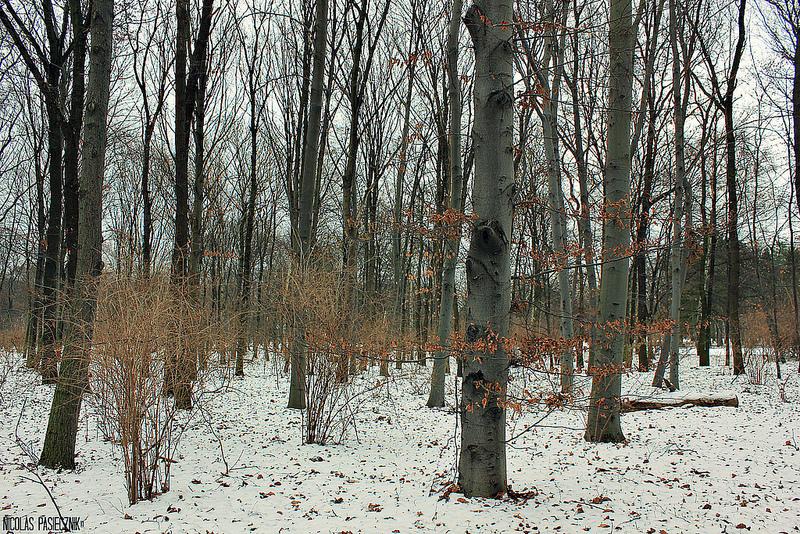 Crónicas de Berlín: la ruta del Tercer Reich (1ra. parte)