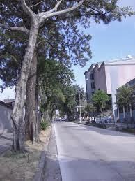 Yo no puedo callar…