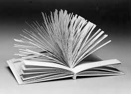 Dato curioso: El libro mas largo del mundo