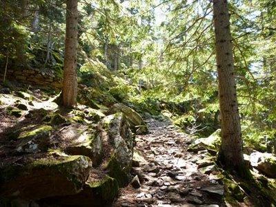 Cascadas de Broate cerca de Tavascan