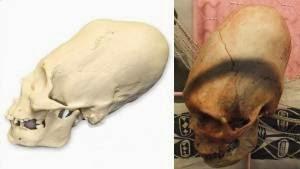 UN GRAN DESCUBRIMIENTO QUE DEMUESTRA LA HISTORIA OCULTA DE NUESTRO PLANETA