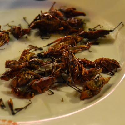 I JORNADA DE FUSION DE COMIDA HISPANO- MEXICANA. MURCIA