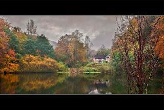 Abinger, Inglaterra, fotografía otoño, fall photograhpy