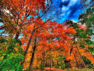 Ontario, Canadá, fotografía otoño, fall photograhpy