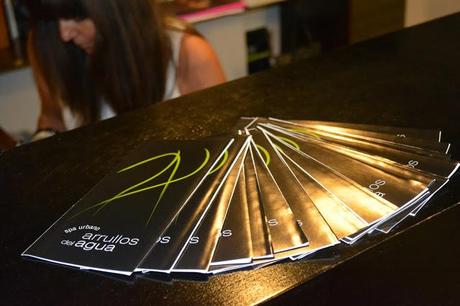 Relajándome en el Spa Urbano Arrullos del Agua