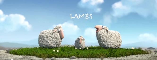 lambs