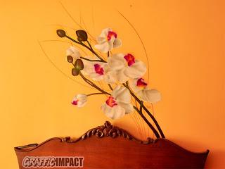 Mural con orquídeas en habitación