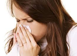fesfriados3 Plantas medicinales contra resfriados y otras infecciones leves respiratorias