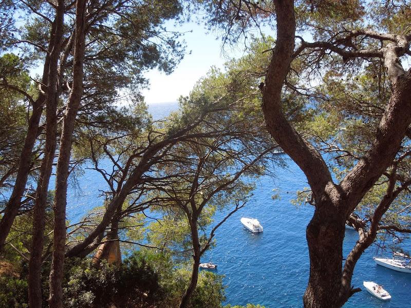 COSTA BRAVA : Vistas de la costa