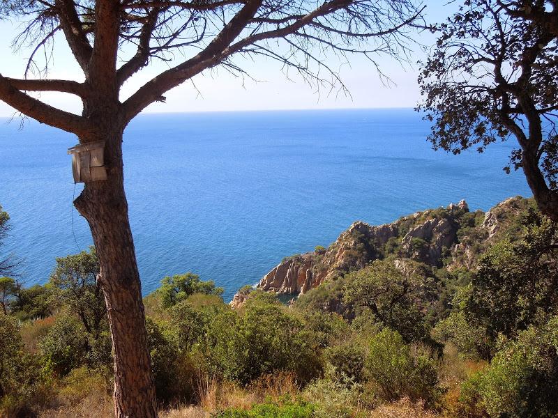 COSTA BRAVA : Vistas de la costa