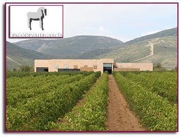 PabloD Gourmet - Pago de Vallegarcía