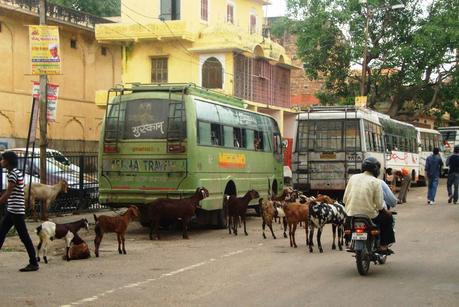 Viaje India y Nepal 2011