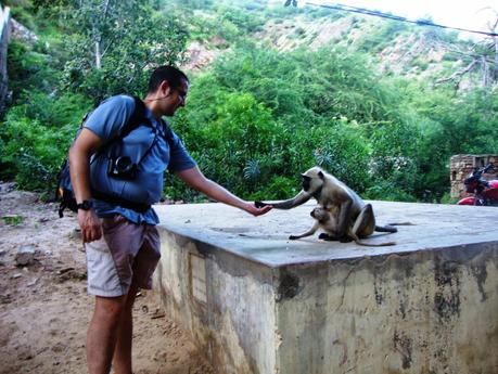 Viaje India y Nepal 2011