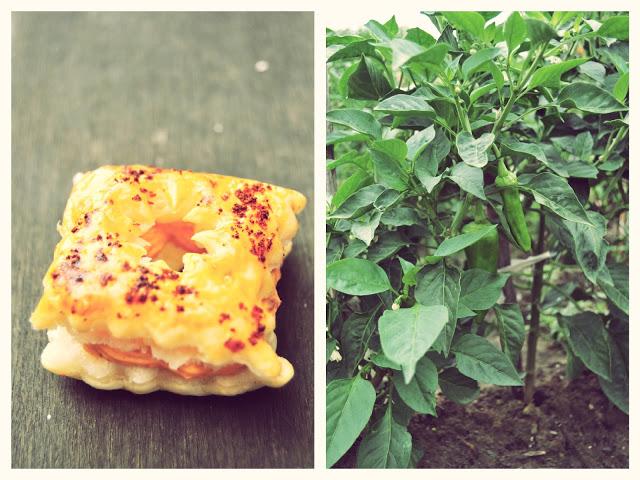 HOJALDRITOS DE CREMA DE CHORIZO