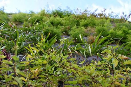 Jardín vertical Mallorca
