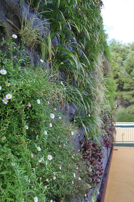 Jardín vertical educativo en Mallorca
