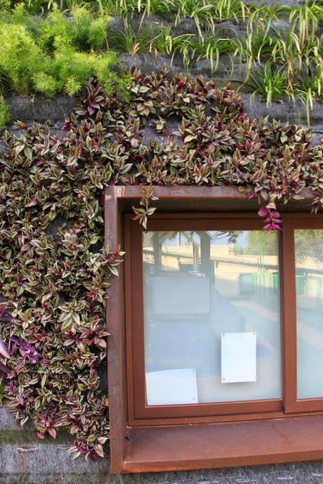 Jardín vertical educativo en Mallorca