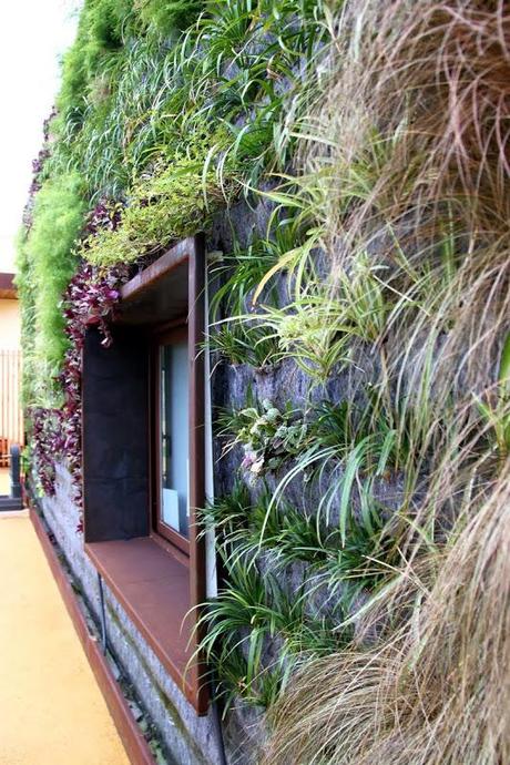 Jardín vertical educativo en Mallorca