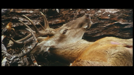 Hazañas Bélicas VI El Cazador - Cimino ( I )