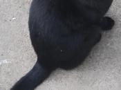 Luna llena, lluviosa