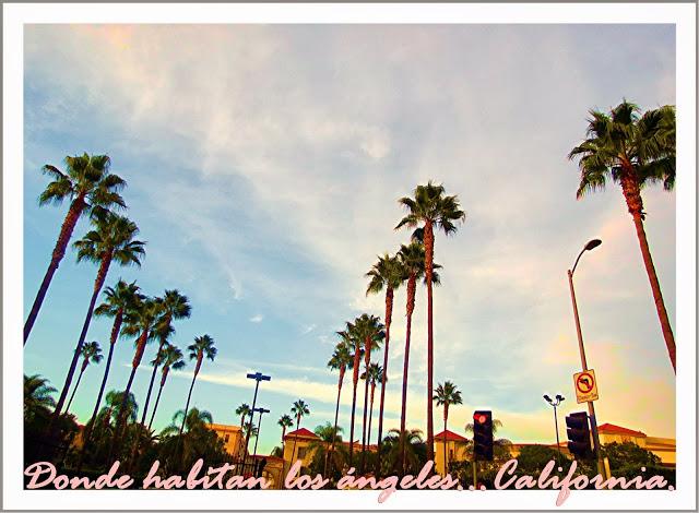 Donde habitan los ángeles...