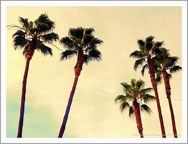 Donde habitan los ángeles...