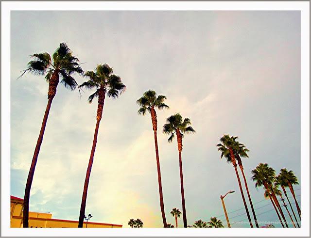 Donde habitan los ángeles...