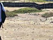 Matones delincuentes invaden cerca hectáreas terreno chilca…