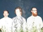 Gira española Fanfarlo febrero 2014 presentando nuevo álbum