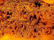 Miguelito Nubesnegras Noches Blanco, Días (2013)