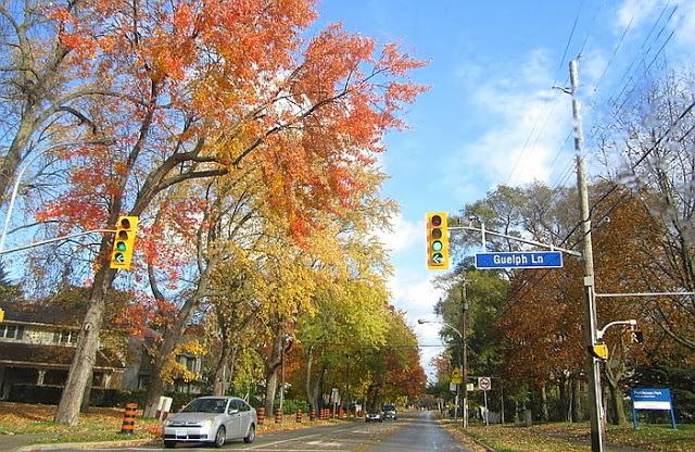 Finales otoño: juegos de sol y lluvia