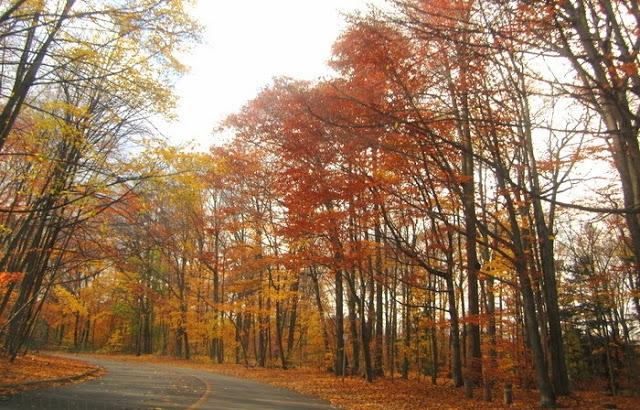 Finales otoño: juegos de sol y lluvia