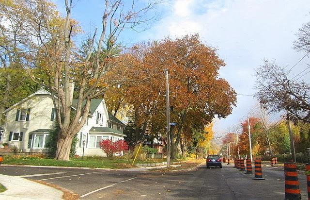 Finales otoño: juegos de sol y lluvia