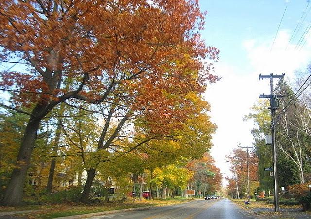 Finales otoño: juegos de sol y lluvia