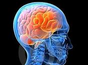 Elogian nivel Neurociencia Cuba