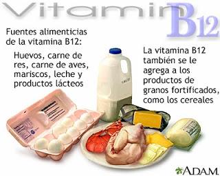 Vitamina B12 o cobalamina, la vitamina de origen animal