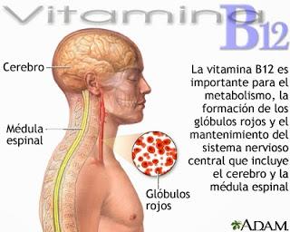 Vitamina B12 o cobalamina, la vitamina de origen animal