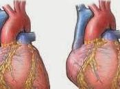 Cardiopatías ¿qué cómo tratarlas?