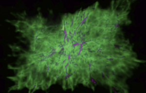 Screen-Shot-2013-11-18-at-9.59.24-PM-580x369