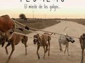 “Febrero, miedo galgos”