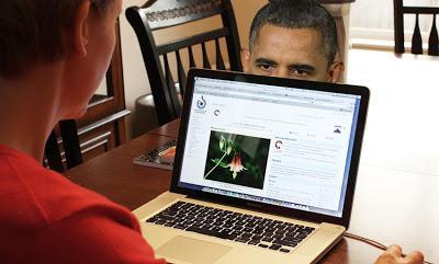 Espionaje en internet