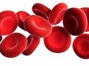 Plasmaféresis: Nueva técnica rejuvenecimiento