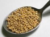 Mostaza, sabor platos para perder peso