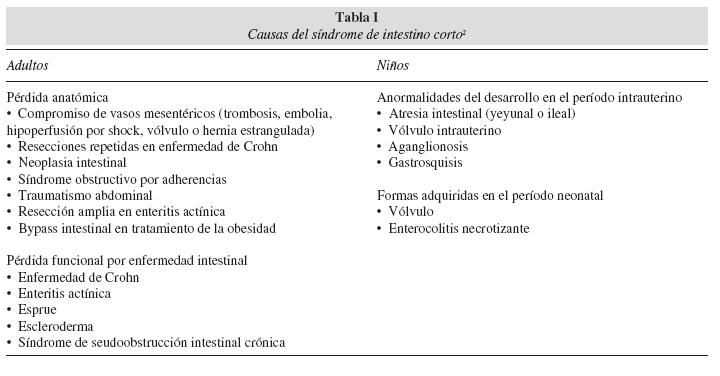 Síndrome del Intestino Corto, ¿qué es y cómo tratarlo? I
