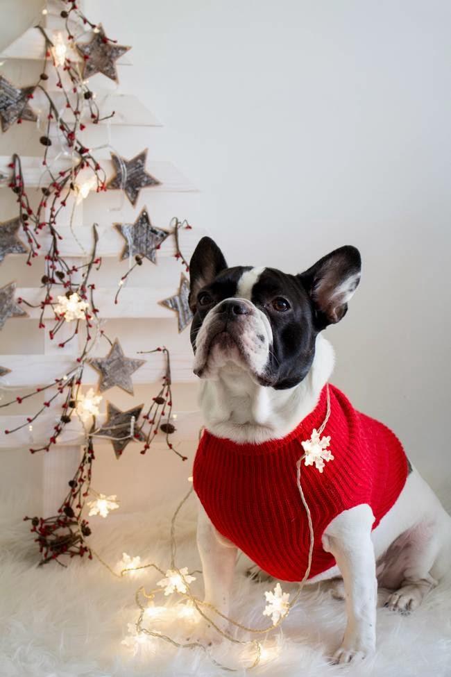 DIY Árbol de Navidad de madera + Video