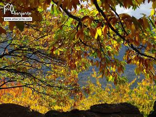 Este finde en el Valle del Jerte...
